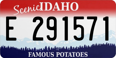 ID license plate E291571