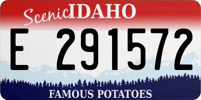 ID license plate E291572