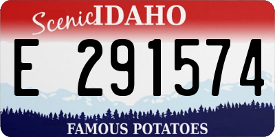 ID license plate E291574