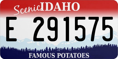 ID license plate E291575
