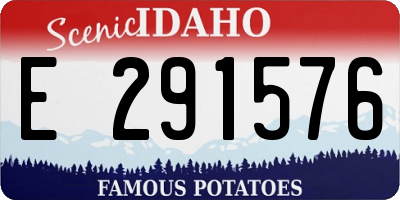 ID license plate E291576