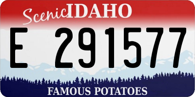 ID license plate E291577