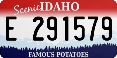 ID license plate E291579