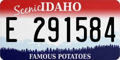 ID license plate E291584
