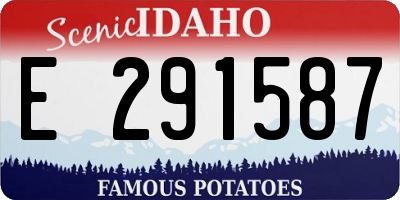 ID license plate E291587