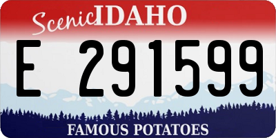 ID license plate E291599