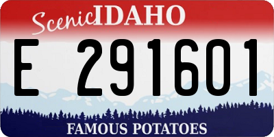 ID license plate E291601
