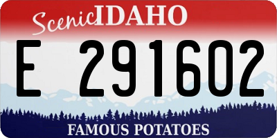ID license plate E291602