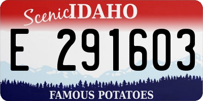ID license plate E291603