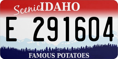 ID license plate E291604