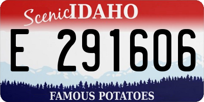 ID license plate E291606