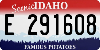 ID license plate E291608