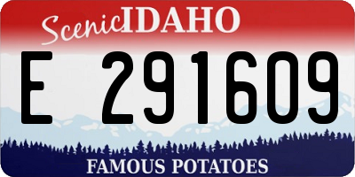 ID license plate E291609