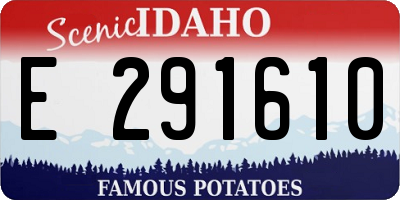 ID license plate E291610