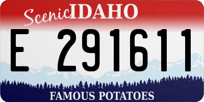 ID license plate E291611