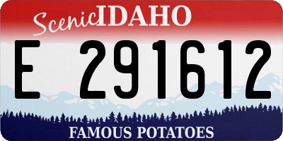 ID license plate E291612