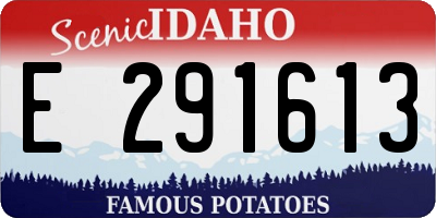 ID license plate E291613