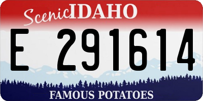 ID license plate E291614