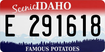 ID license plate E291618