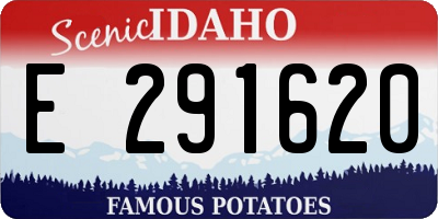ID license plate E291620