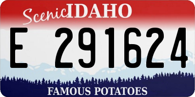 ID license plate E291624