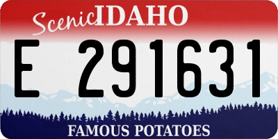 ID license plate E291631