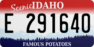 ID license plate E291640