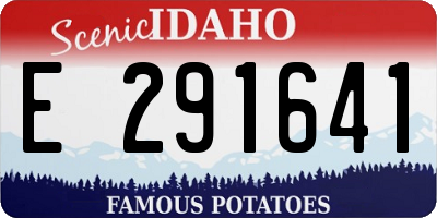 ID license plate E291641
