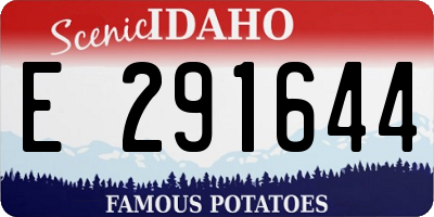 ID license plate E291644