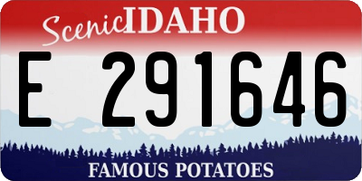 ID license plate E291646