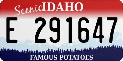 ID license plate E291647