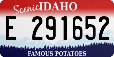 ID license plate E291652