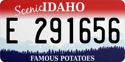 ID license plate E291656