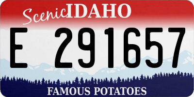 ID license plate E291657