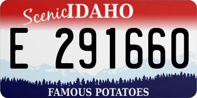 ID license plate E291660