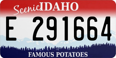 ID license plate E291664
