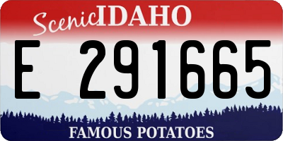 ID license plate E291665