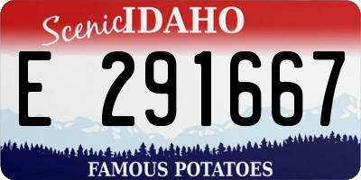 ID license plate E291667