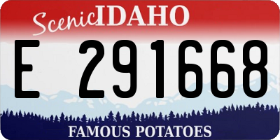 ID license plate E291668