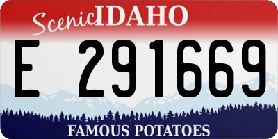 ID license plate E291669