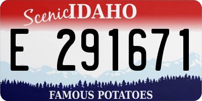 ID license plate E291671