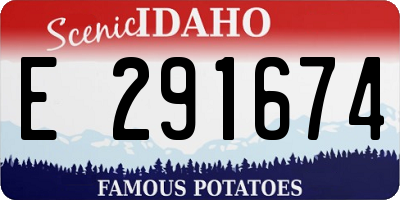 ID license plate E291674
