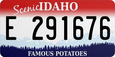 ID license plate E291676