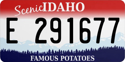 ID license plate E291677