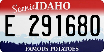 ID license plate E291680