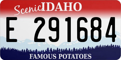 ID license plate E291684