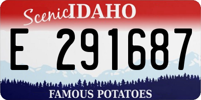 ID license plate E291687
