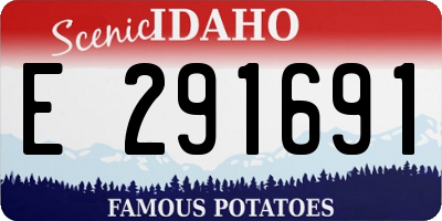 ID license plate E291691