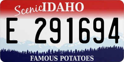 ID license plate E291694