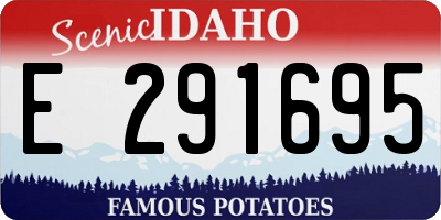 ID license plate E291695